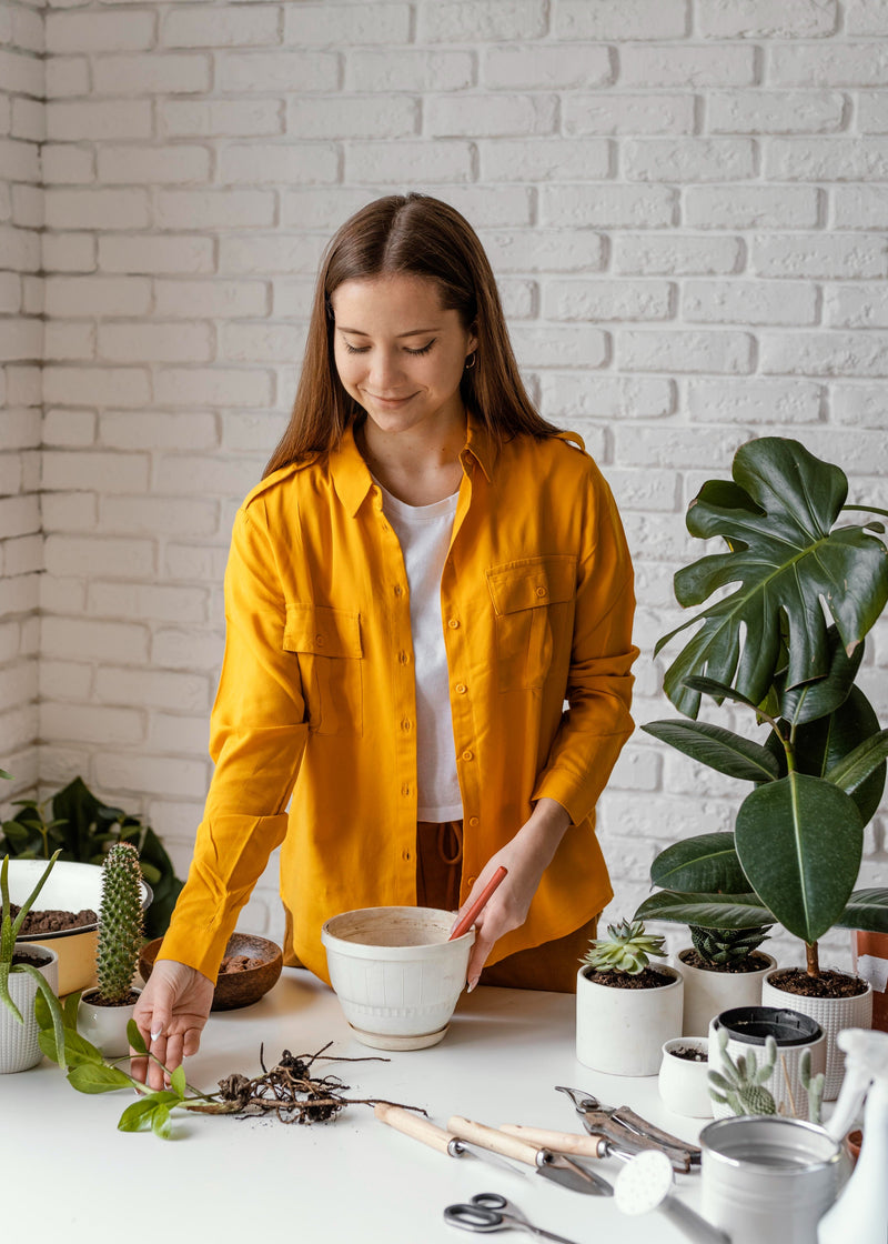 Why Choosing the Right Product Can Make a Huge Difference